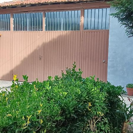 Casa Da Vovo Ceu - Casa De Campo Gandaresa - Country House, Entre Coimbra E Aveiro, A 15 Minutos Carro Praia Mira - Quintal Com Piscina Insuflavel Cantanhede Kültér fotó